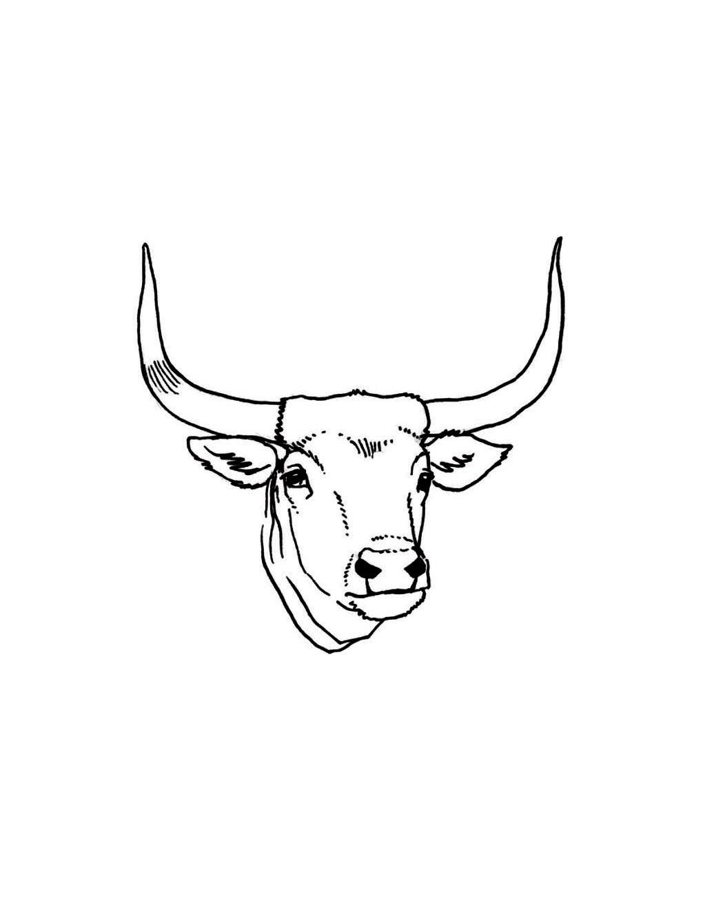 How to Draw Other Hoofed Animals Step-by-Step For Student - photo 16