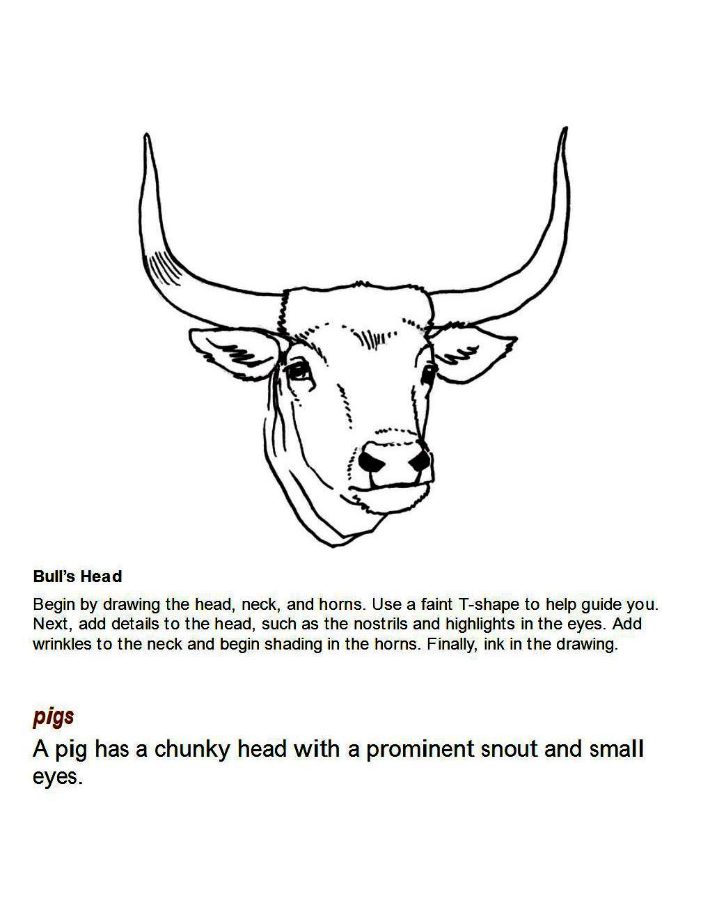 How to Draw Other Hoofed Animals Step-by-Step For Student - photo 17