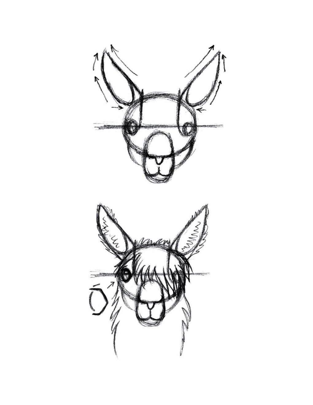 How to Draw Other Hoofed Animals Step-by-Step For Student - photo 21