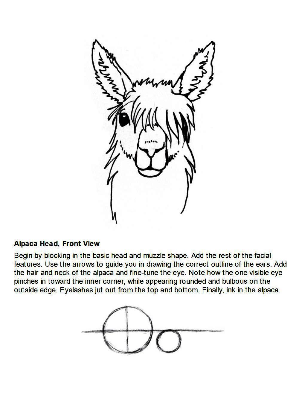 How to Draw Other Hoofed Animals Step-by-Step For Student - photo 22