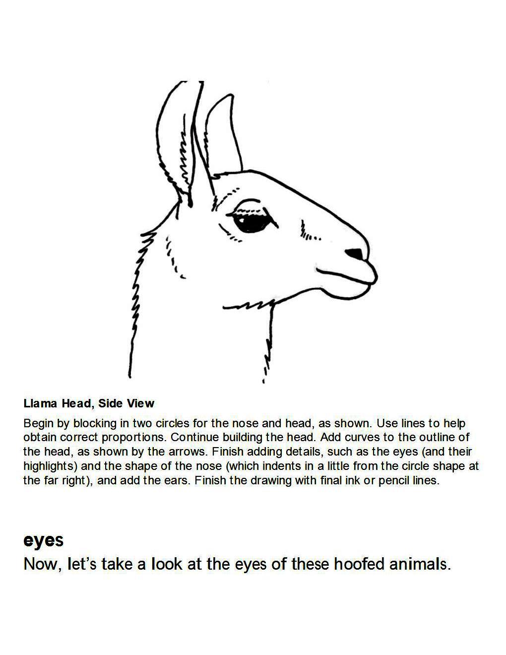 How to Draw Other Hoofed Animals Step-by-Step For Student - photo 24