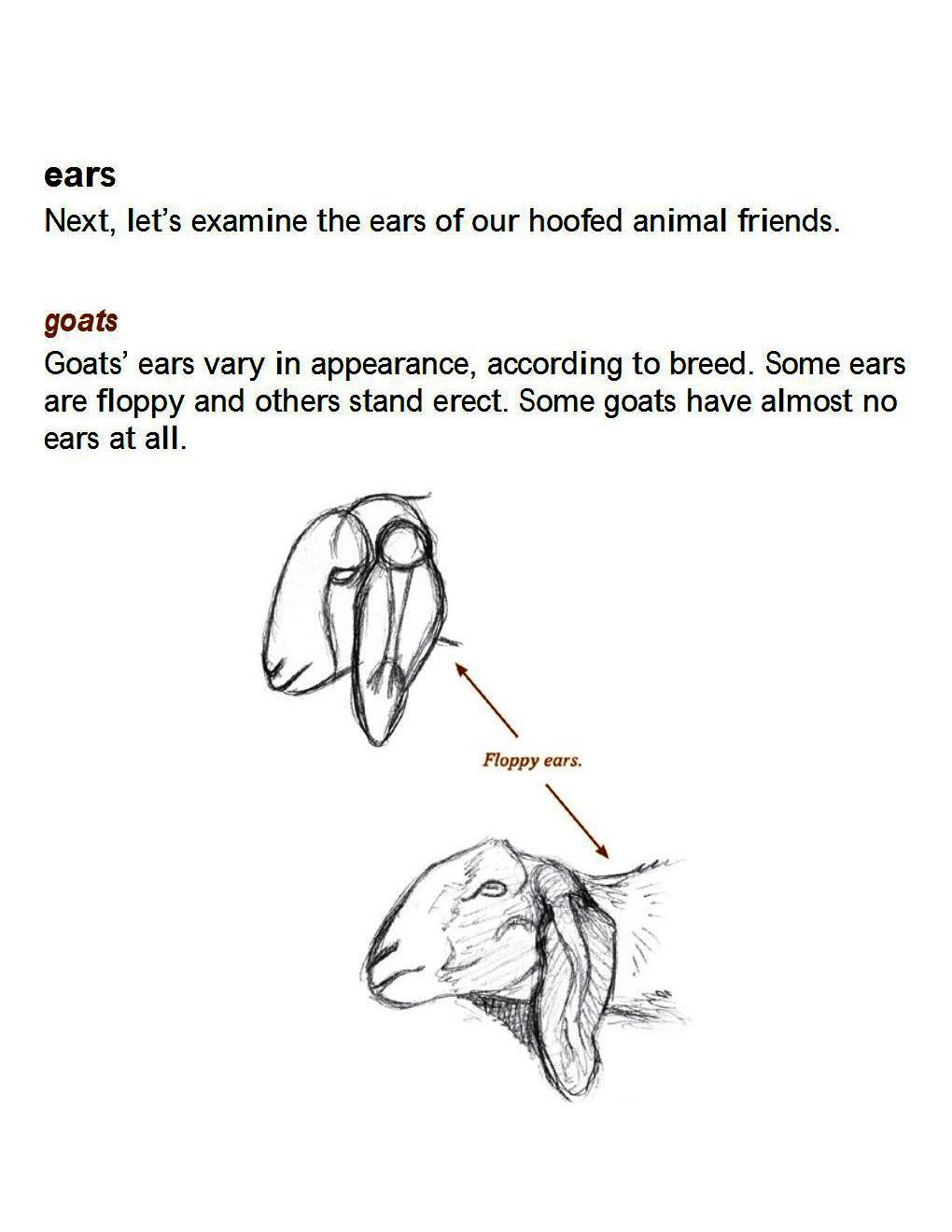 How to Draw Other Hoofed Animals Step-by-Step For Student - photo 39