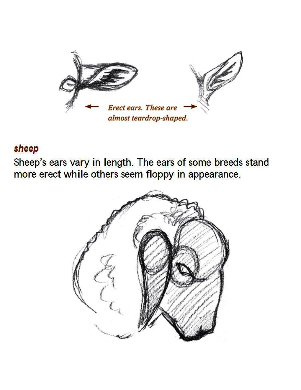 How to Draw Other Hoofed Animals Step-by-Step For Student - photo 40