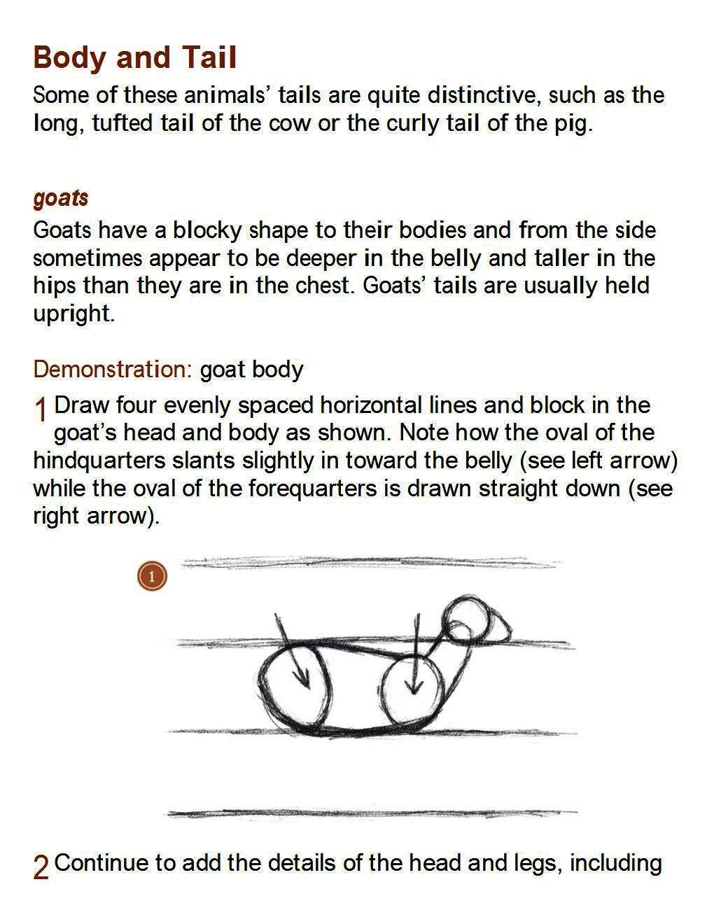 How to Draw Other Hoofed Animals Step-by-Step For Student - photo 48