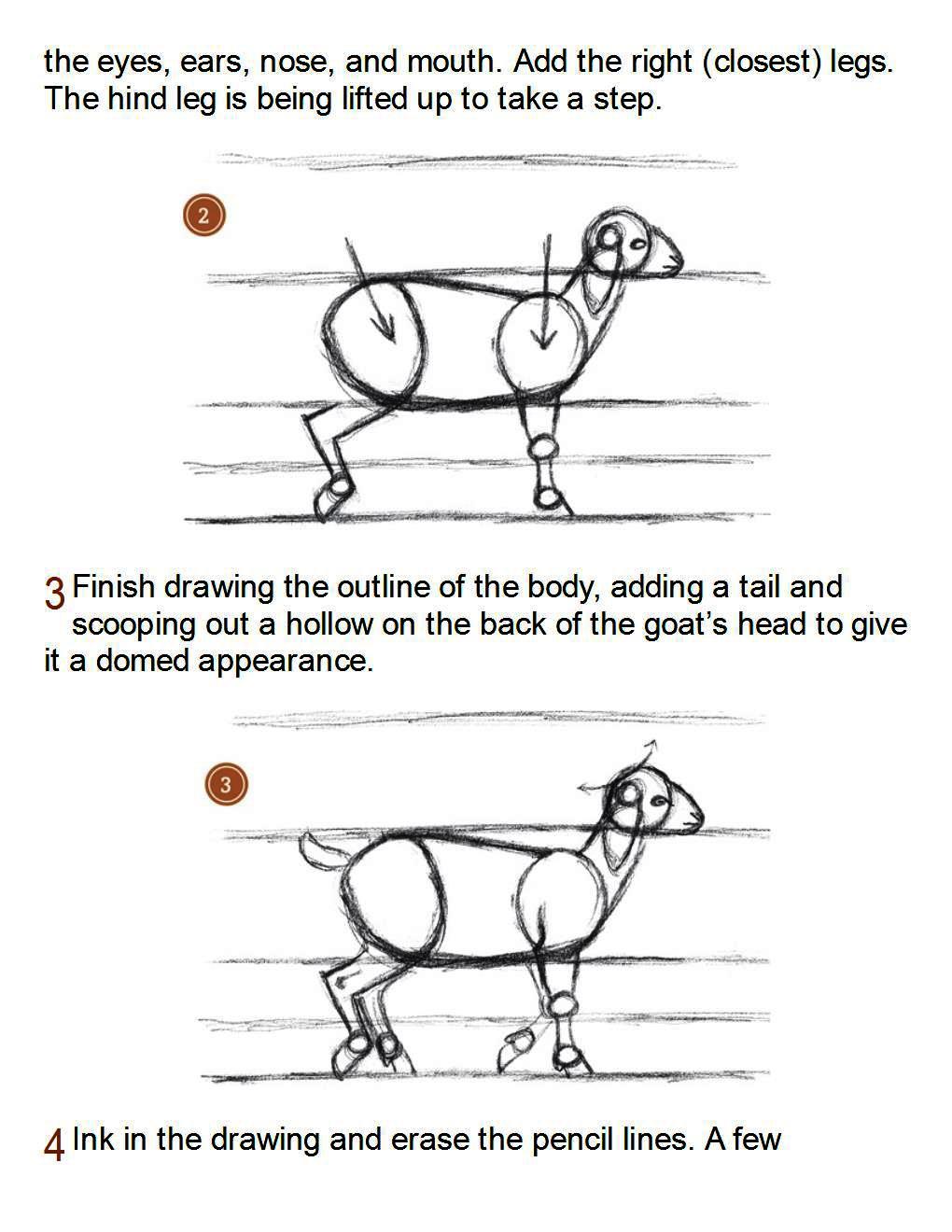 How to Draw Other Hoofed Animals Step-by-Step For Student - photo 49