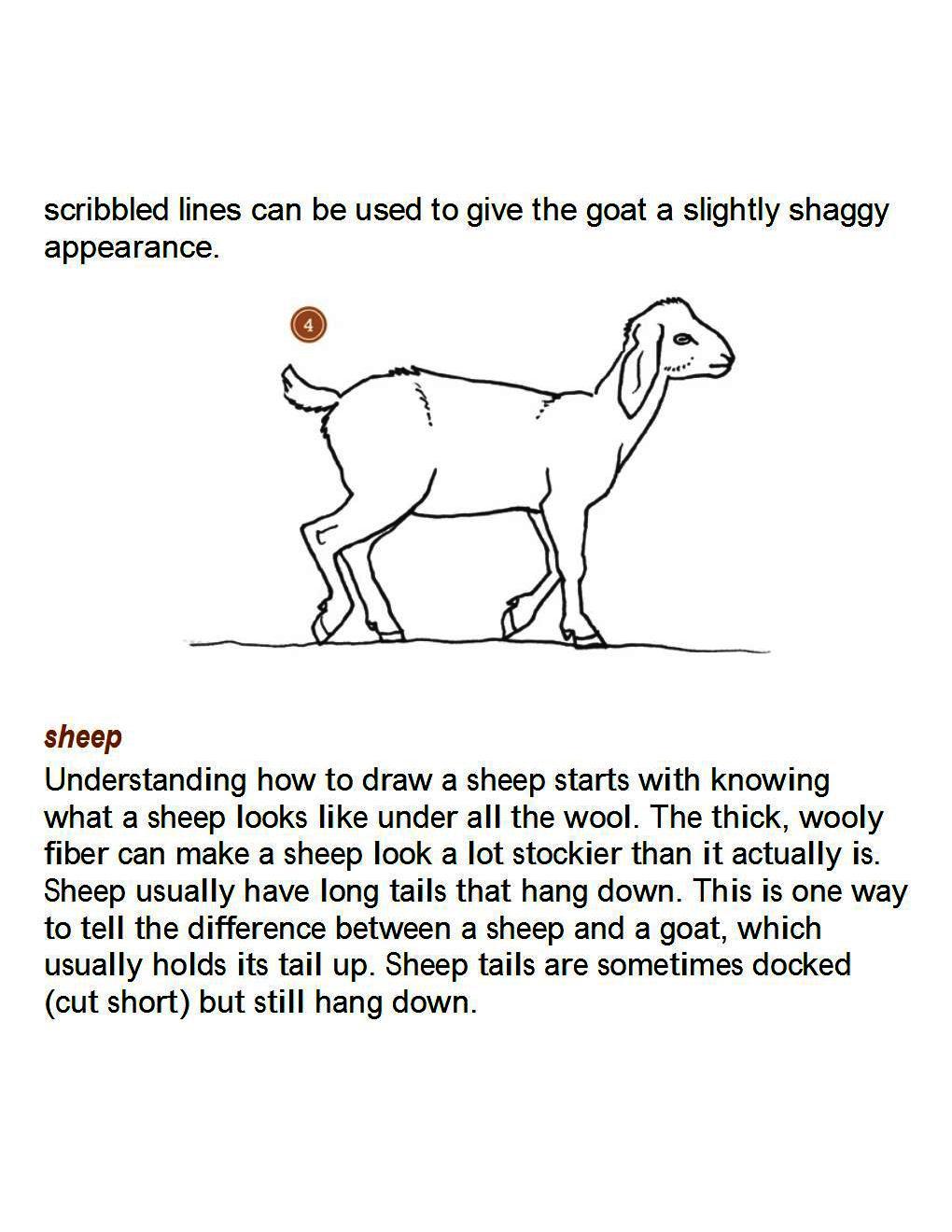 How to Draw Other Hoofed Animals Step-by-Step For Student - photo 50