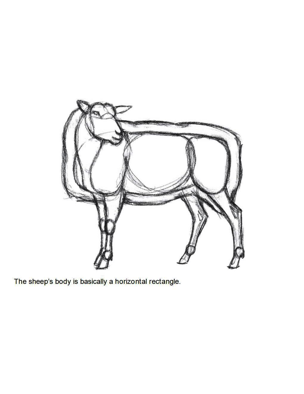 How to Draw Other Hoofed Animals Step-by-Step For Student - photo 51