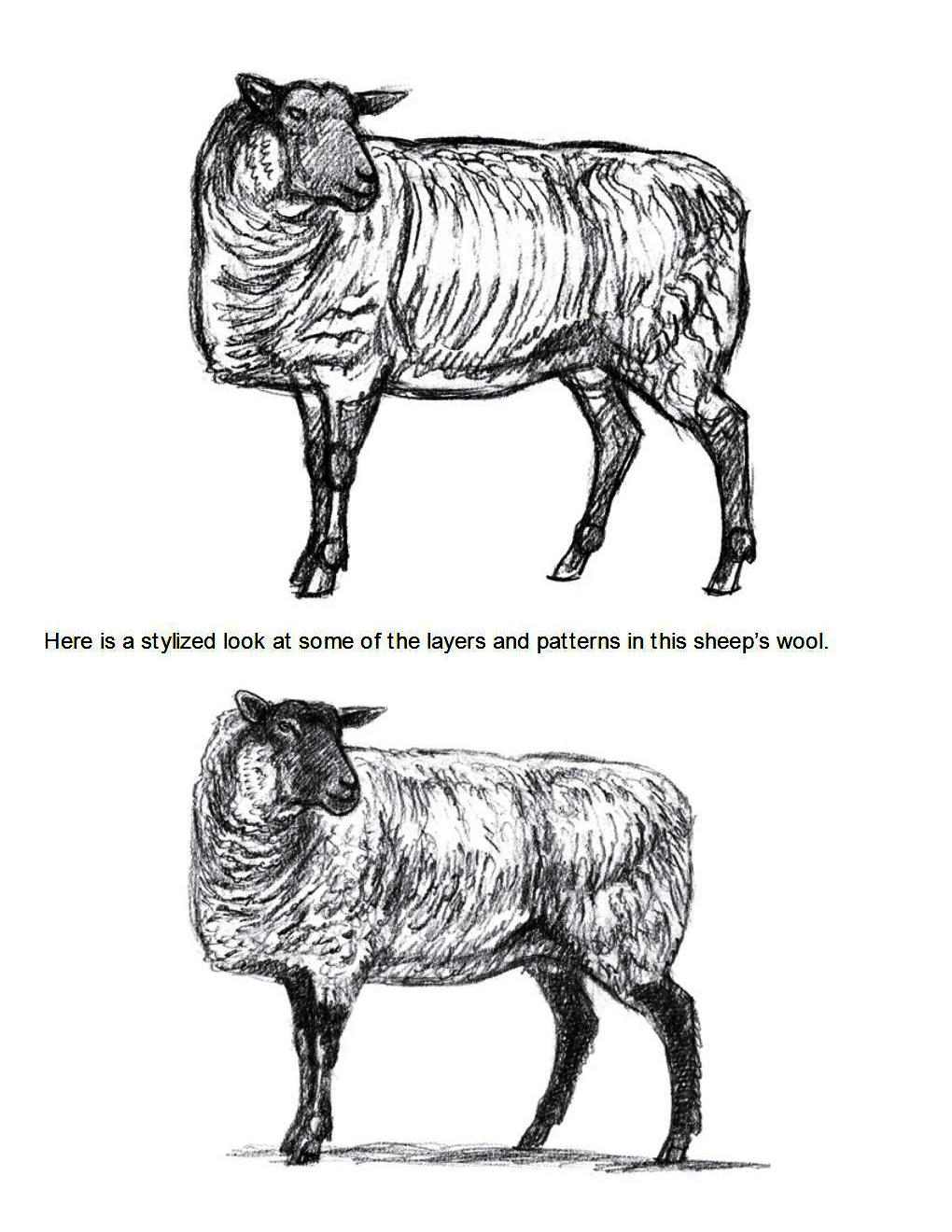 How to Draw Other Hoofed Animals Step-by-Step For Student - photo 52