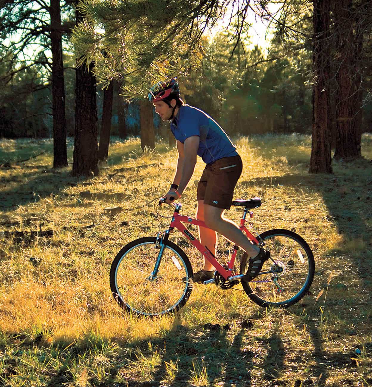 White Mountains Sun-baked Arizonans escape to the cool forests and leaping - photo 10