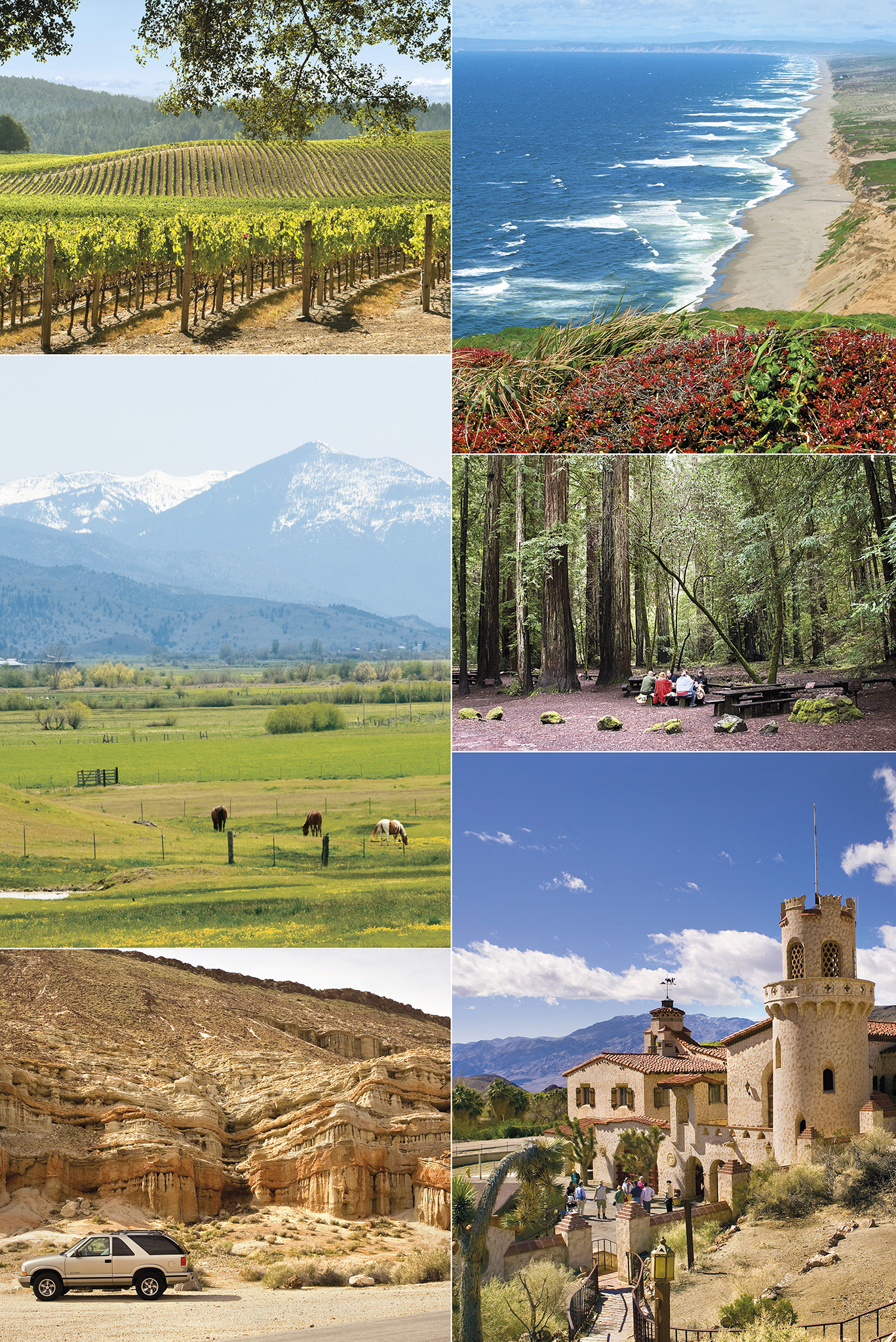 Top left Sprawling vineyard in Anderson Valley Top right Windswept South Beach - photo 2