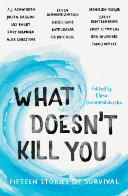 Elitsa Dermendzhiyska - What Doesnt Kill You