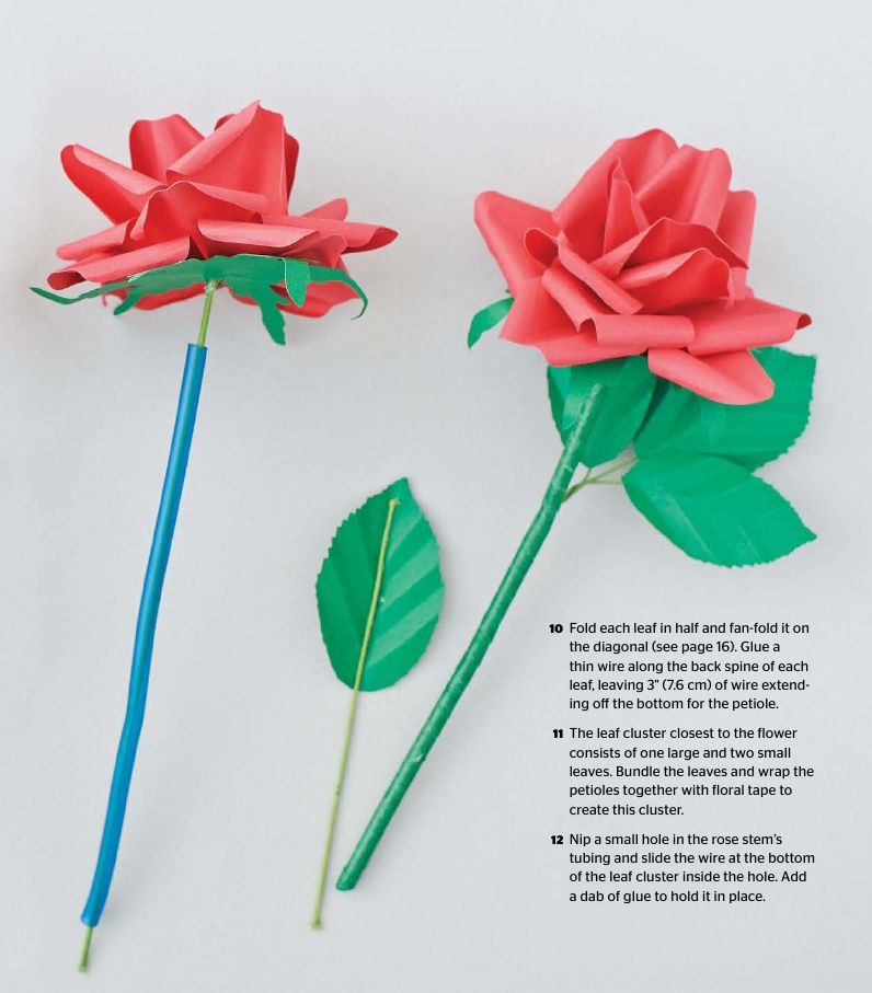 The Artistry Of Floral Paper Designing Accurate Roses From Common Papers - photo 18