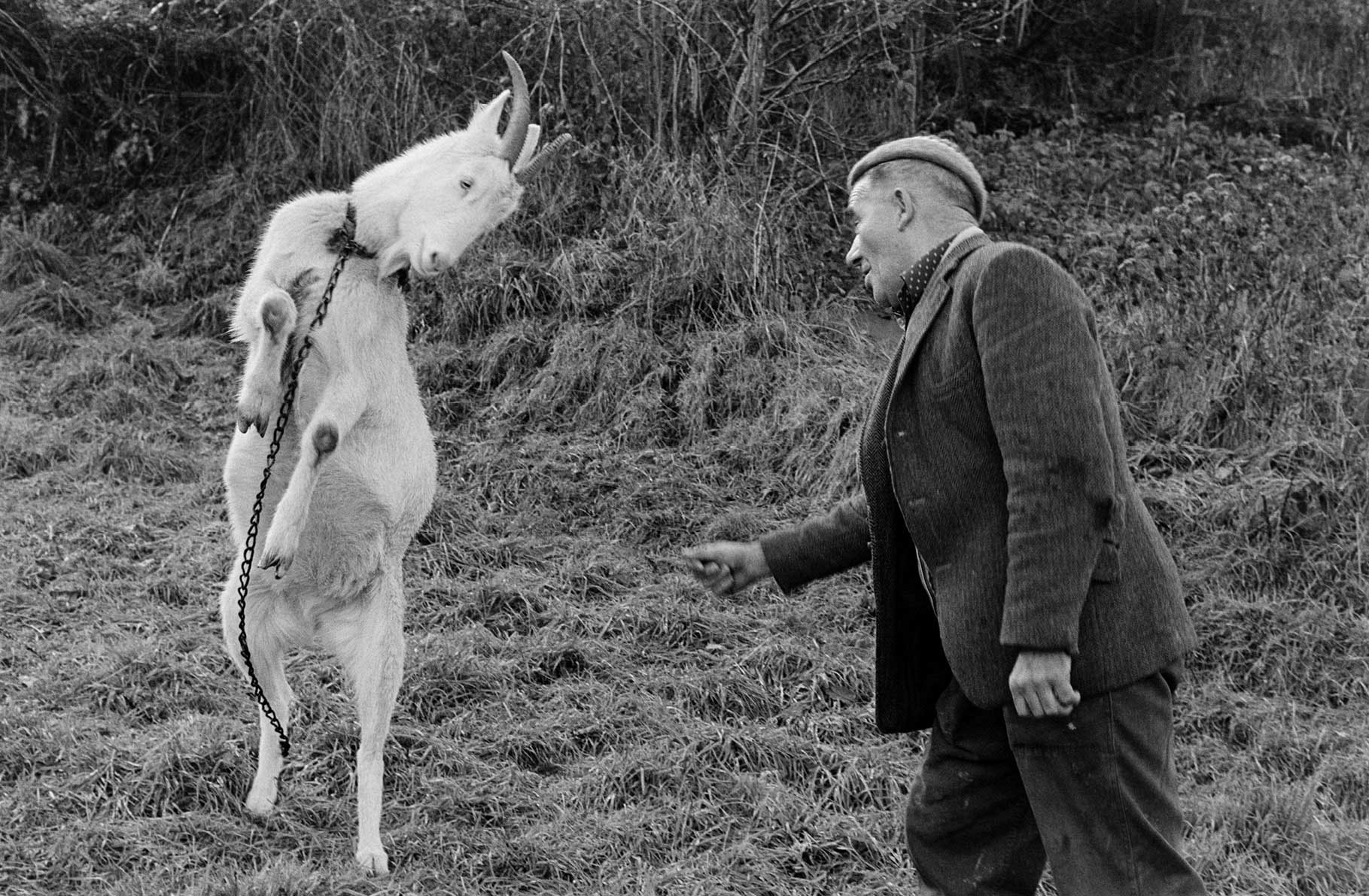 Millhams Dolton December 1977 Documentary photograph by James Ravilious for - photo 6