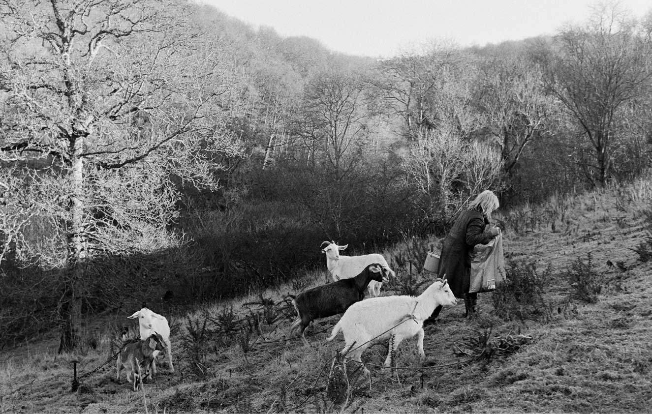 Millhams Dolton December 1981 Documentary photograph by James Ravilious for - photo 9