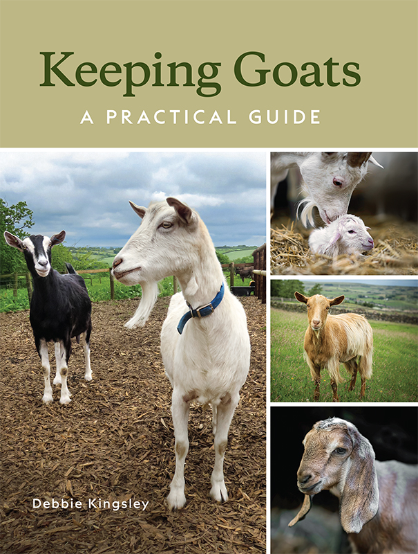 Debbie Kingsley Keeping Goats A PRACTICAL GUIDE - photo 1