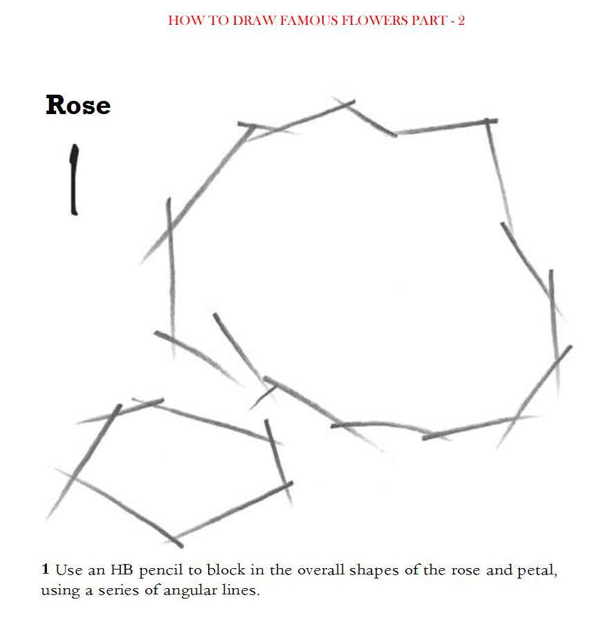 How to Draw Famous Flowers Part 2 Step by Step - photo 10