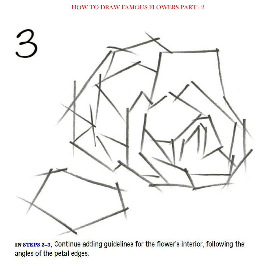 How to Draw Famous Flowers Part 2 Step by Step - photo 12