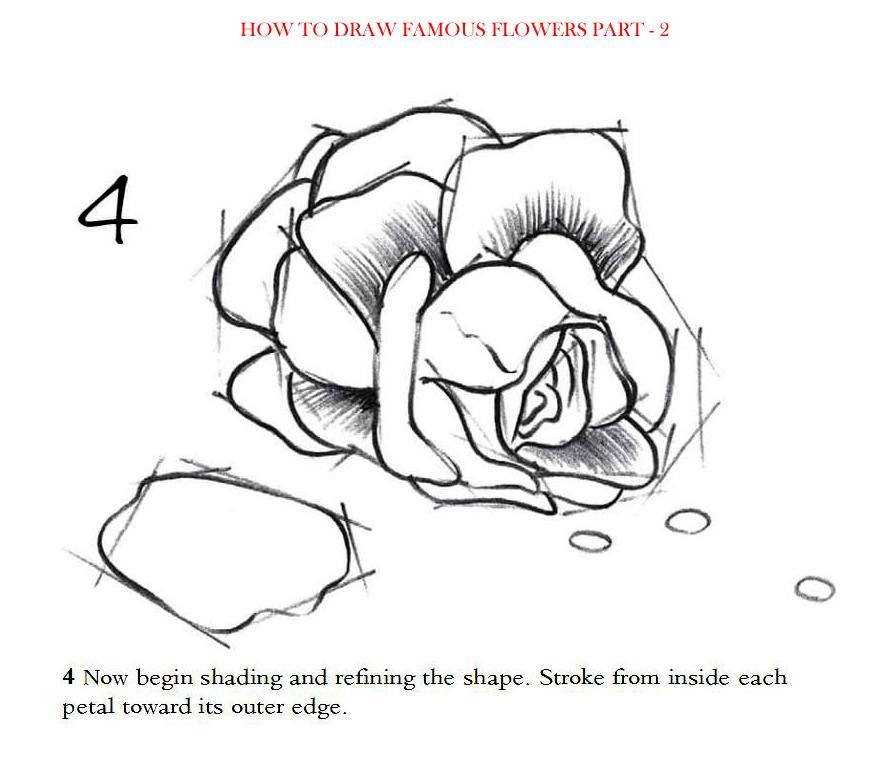 How to Draw Famous Flowers Part 2 Step by Step - photo 13