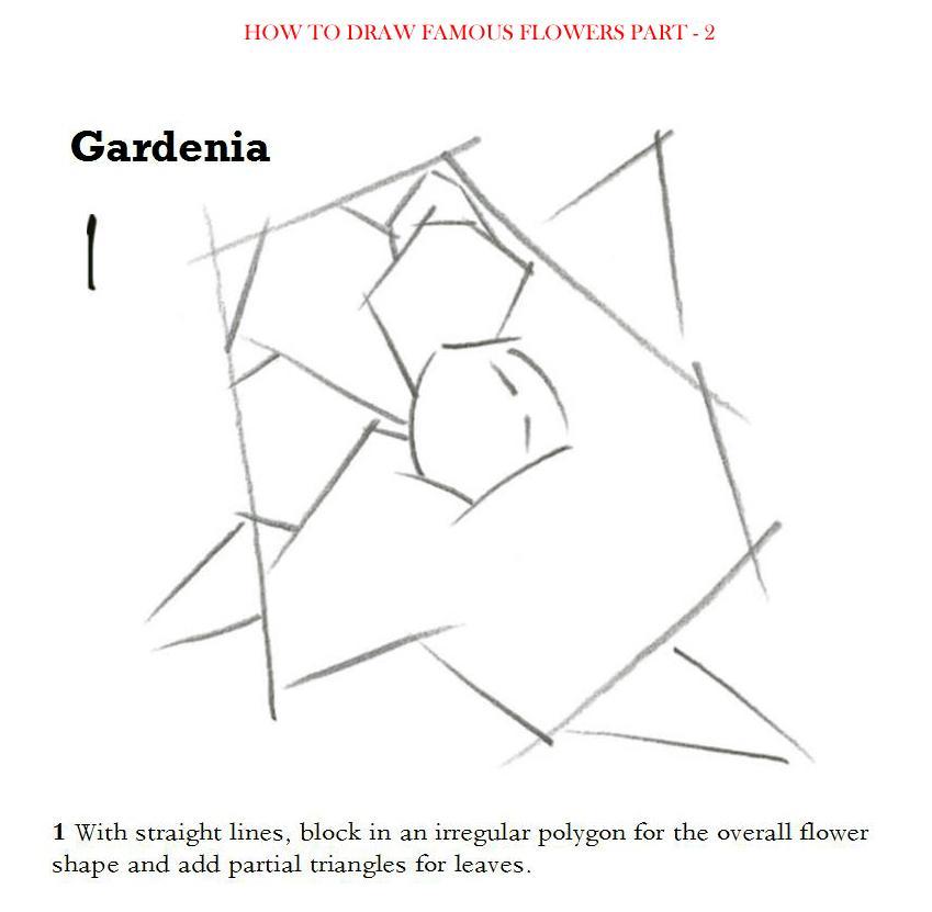 How to Draw Famous Flowers Part 2 Step by Step - photo 16