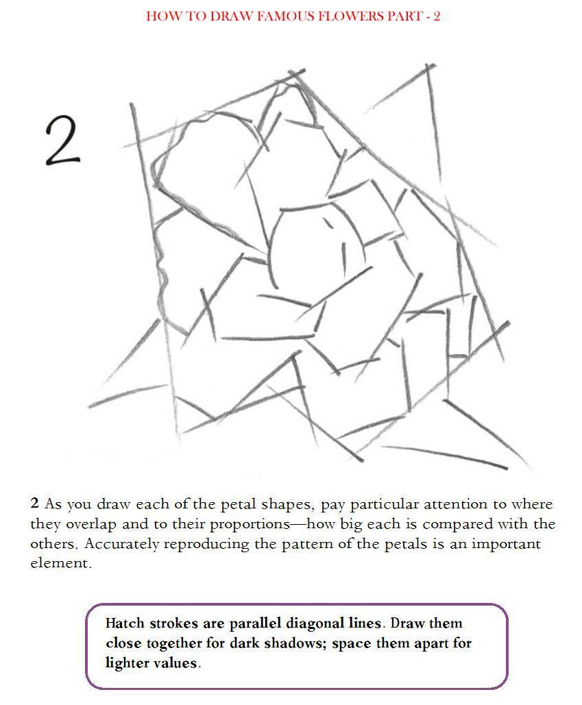 How to Draw Famous Flowers Part 2 Step by Step - photo 17