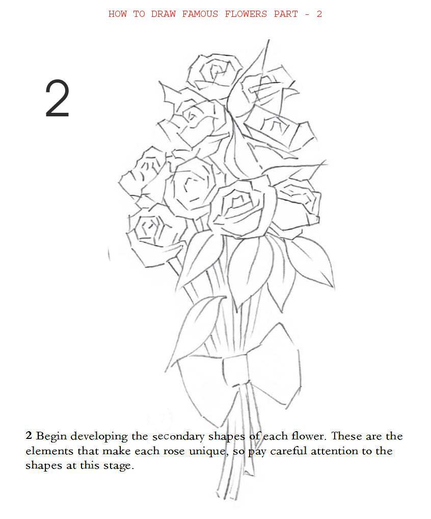 How to Draw Famous Flowers Part 2 Step by Step - photo 20