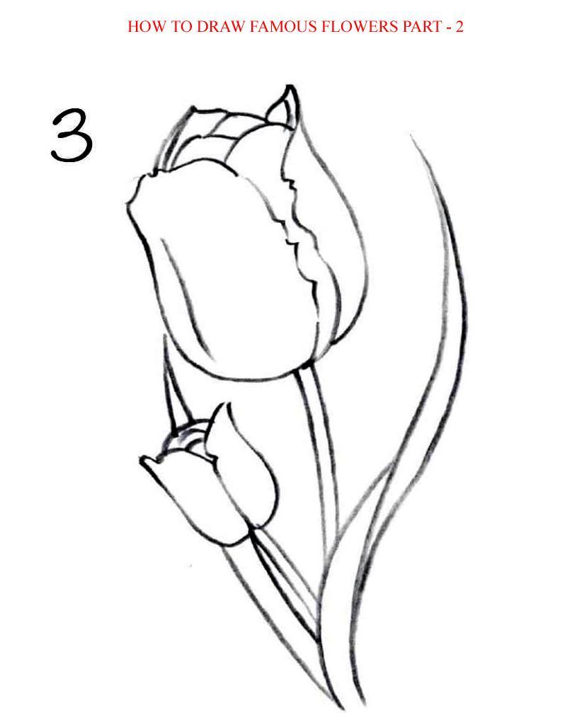 How to Draw Famous Flowers Part 2 Step by Step - photo 25