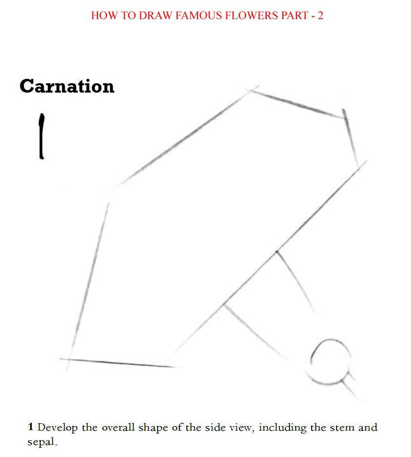 How to Draw Famous Flowers Part 2 Step by Step - photo 27