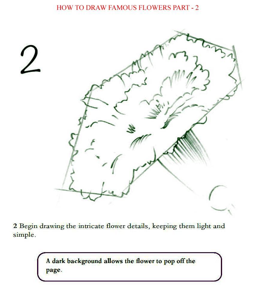 How to Draw Famous Flowers Part 2 Step by Step - photo 28