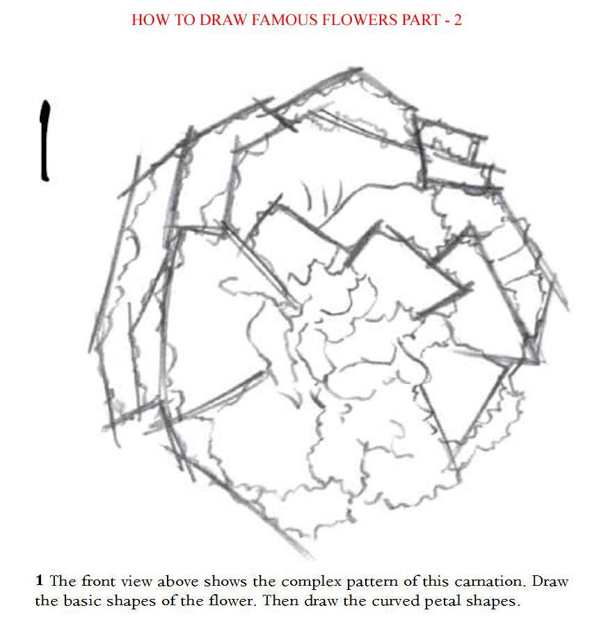How to Draw Famous Flowers Part 2 Step by Step - photo 30