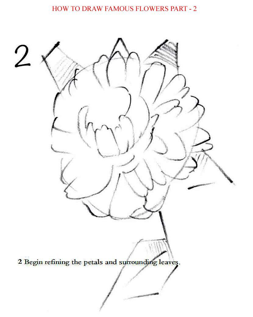 How to Draw Famous Flowers Part 2 Step by Step - photo 33