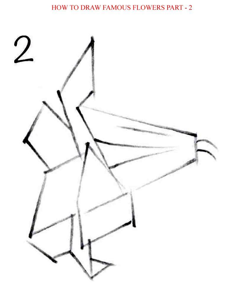 How to Draw Famous Flowers Part 2 Step by Step - photo 36