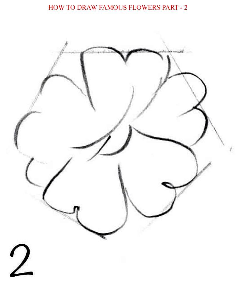 How to Draw Famous Flowers Part 2 Step by Step - photo 41