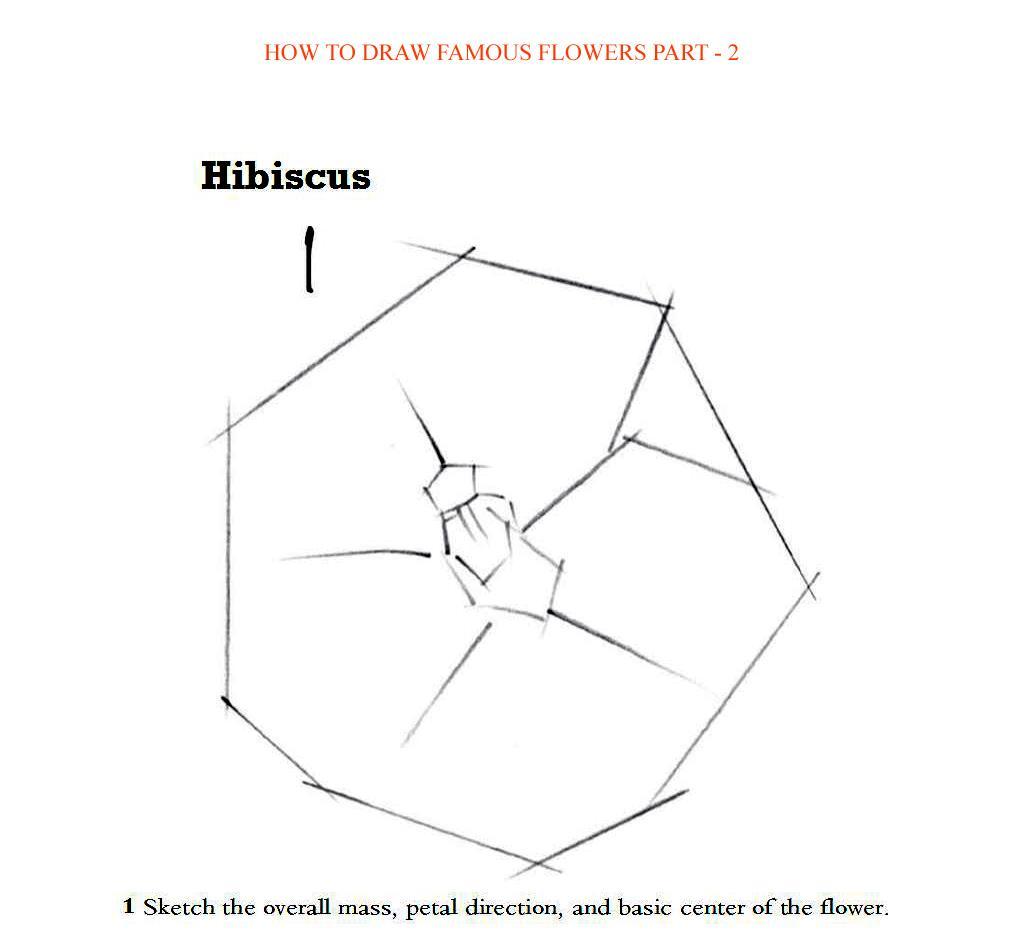 How to Draw Famous Flowers Part 2 Step by Step - photo 44