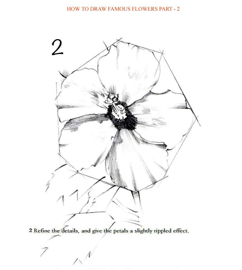 How to Draw Famous Flowers Part 2 Step by Step - photo 45