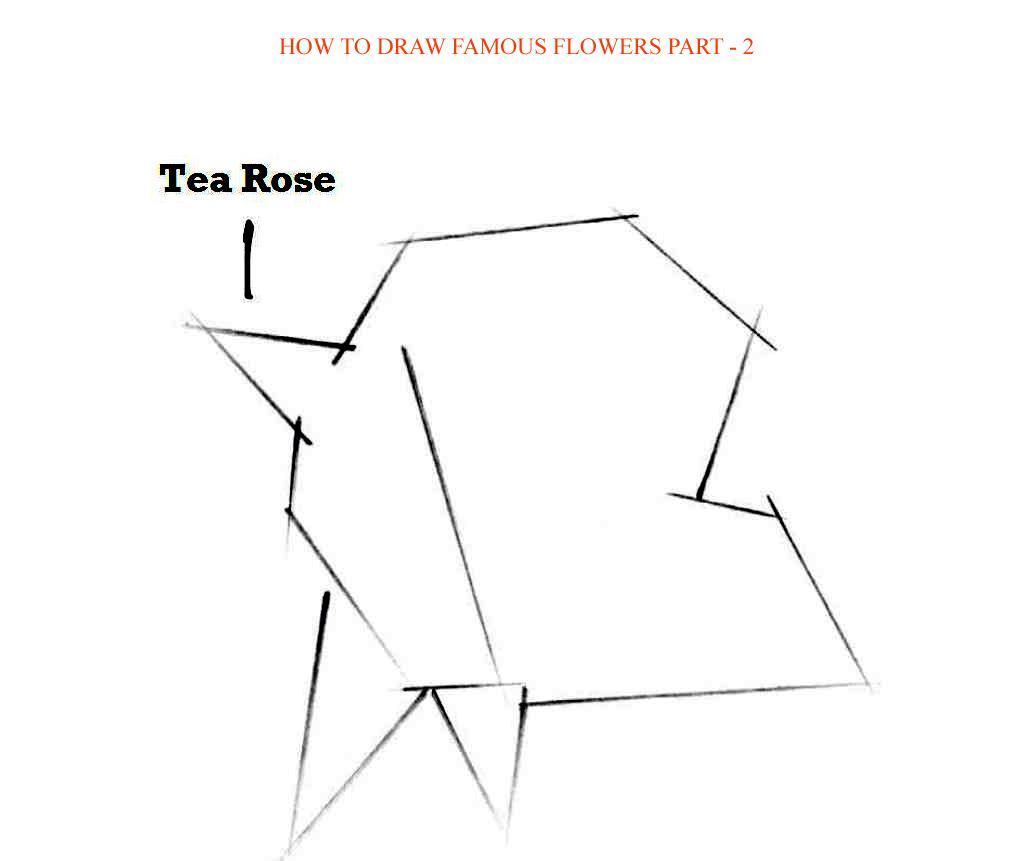 How to Draw Famous Flowers Part 2 Step by Step - photo 48