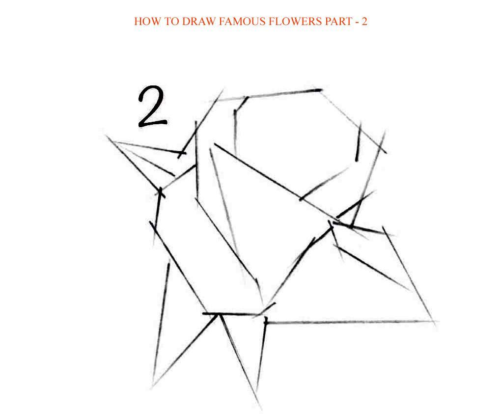 How to Draw Famous Flowers Part 2 Step by Step - photo 49