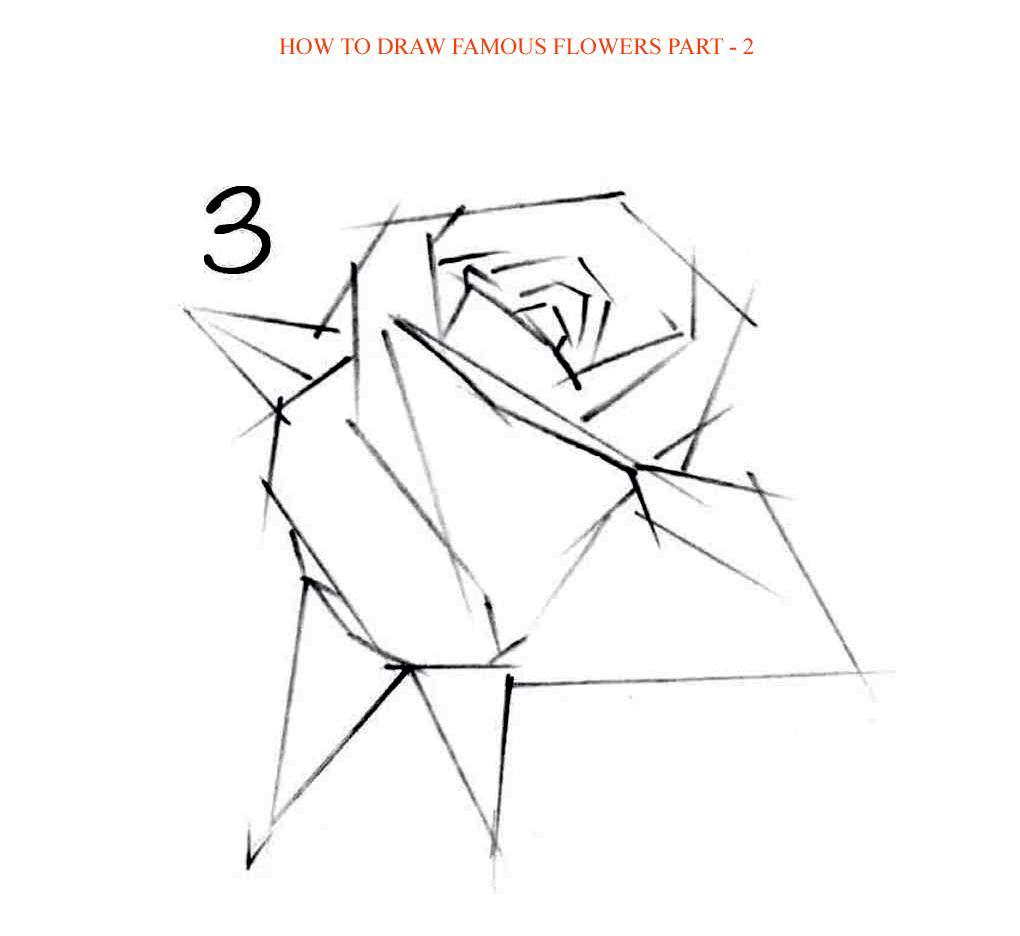 How to Draw Famous Flowers Part 2 Step by Step - photo 50