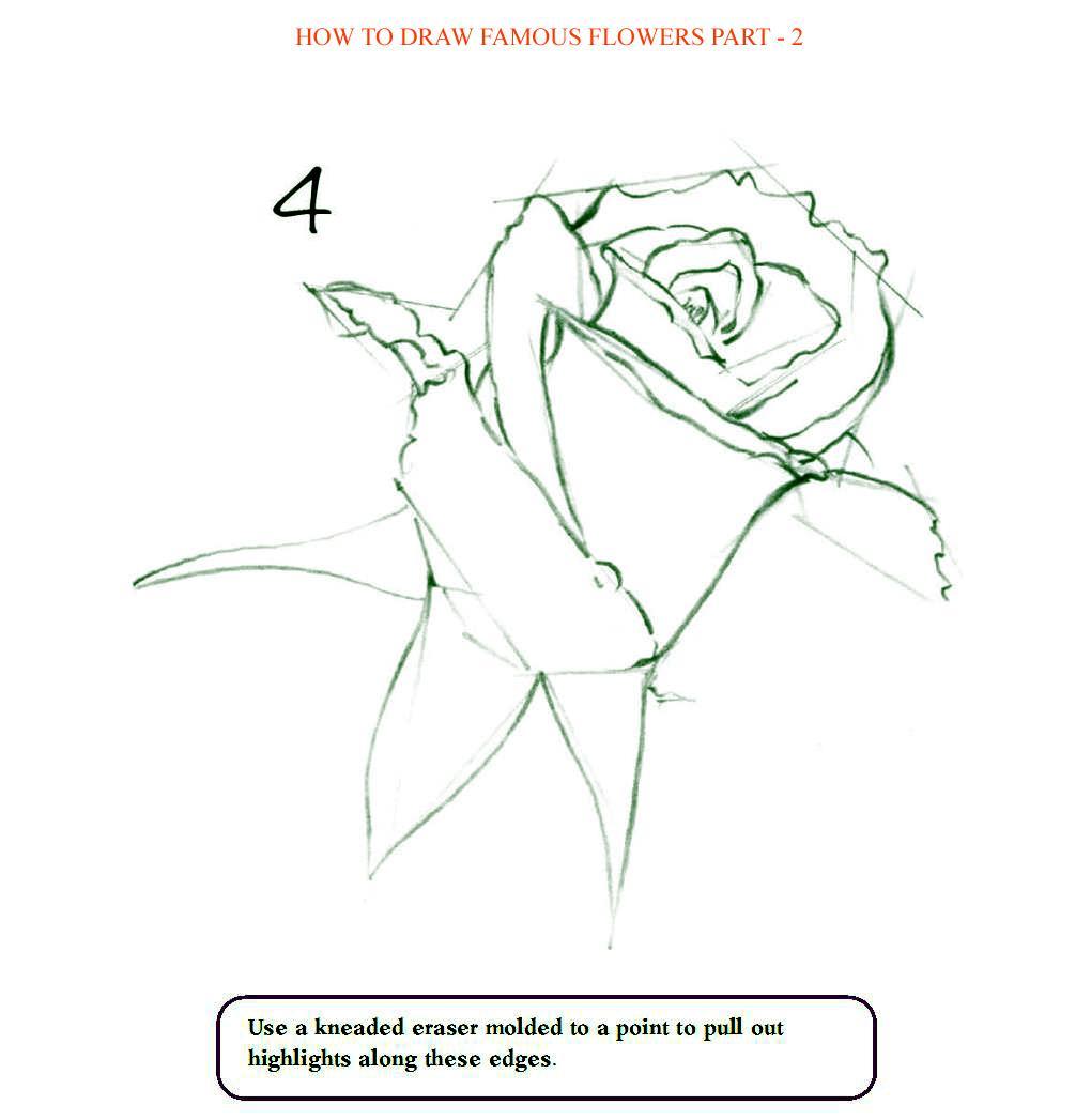 How to Draw Famous Flowers Part 2 Step by Step - photo 51