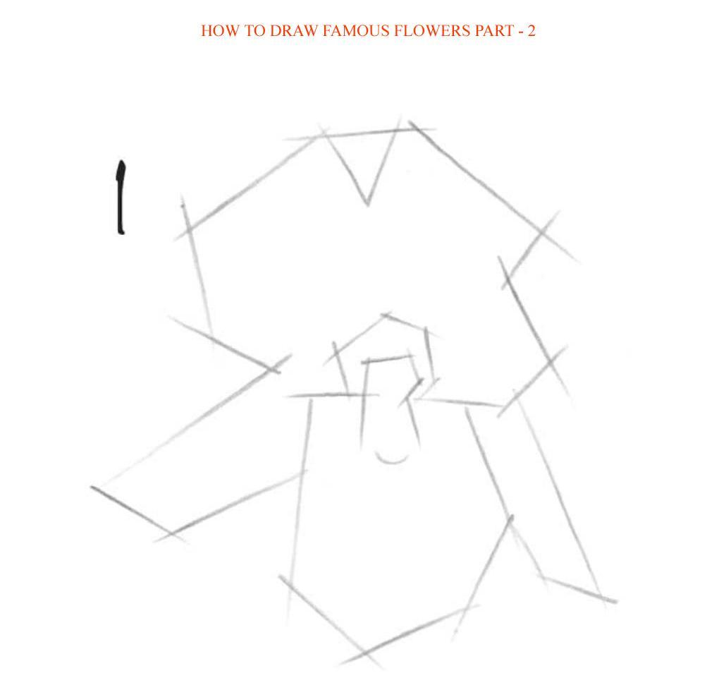 How to Draw Famous Flowers Part 2 Step by Step - photo 56