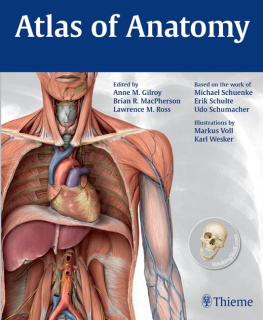 Anne M. Gilroy Atlas of anatomy (Thieme Anatomy)