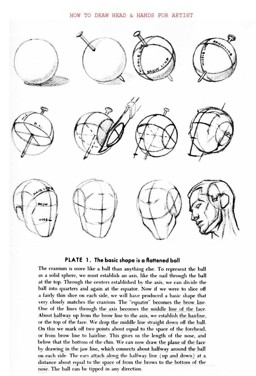 How to Draw Head Hands for Artist - photo 14