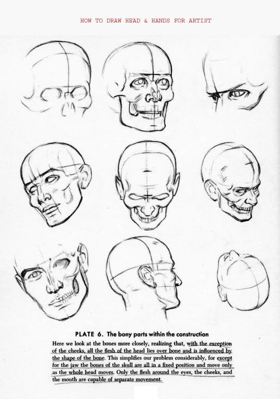 How to Draw Head Hands for Artist - photo 21