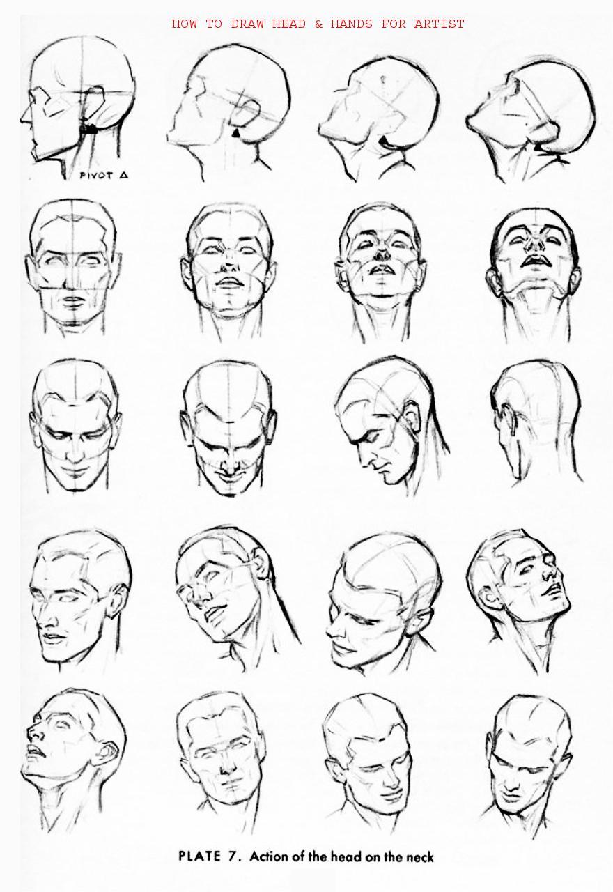 How to Draw Head Hands for Artist - photo 22