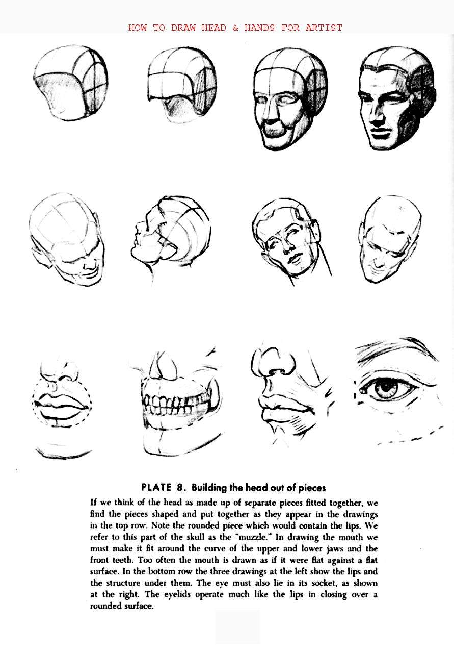 How to Draw Head Hands for Artist - photo 23