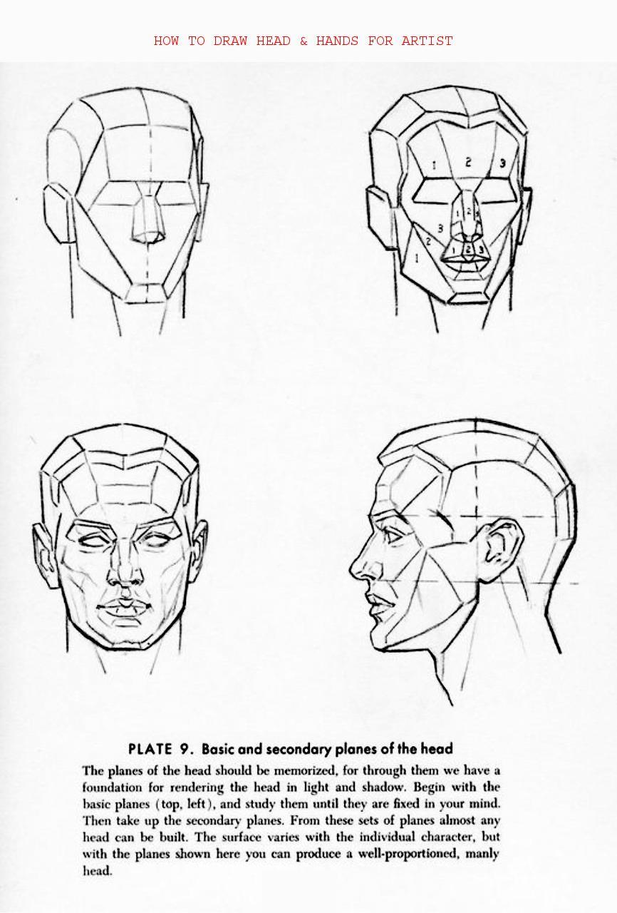 How to Draw Head Hands for Artist - photo 26