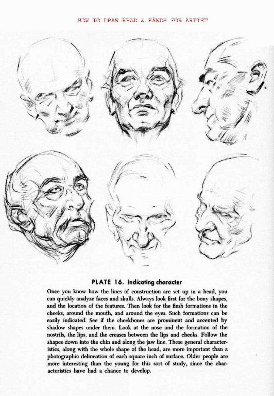 How to Draw Head Hands for Artist - photo 33