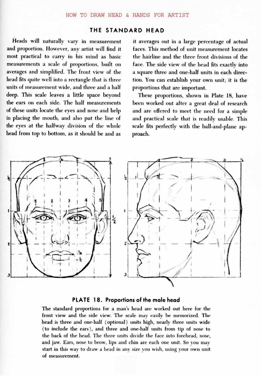 How to Draw Head Hands for Artist - photo 36