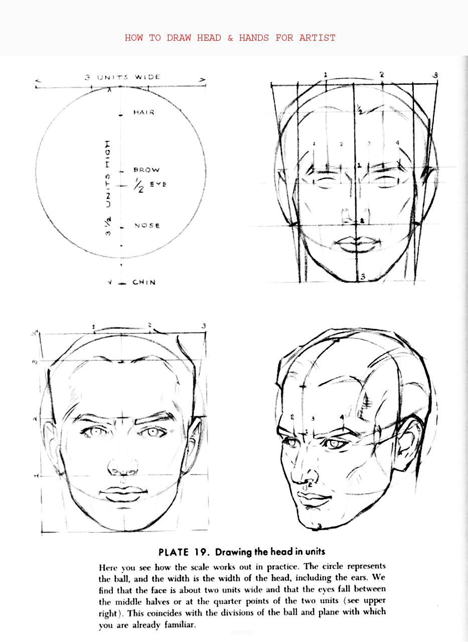 How to Draw Head Hands for Artist - photo 37