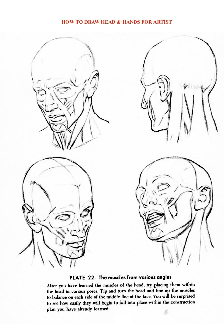 How to Draw Head Hands for Artist - photo 41