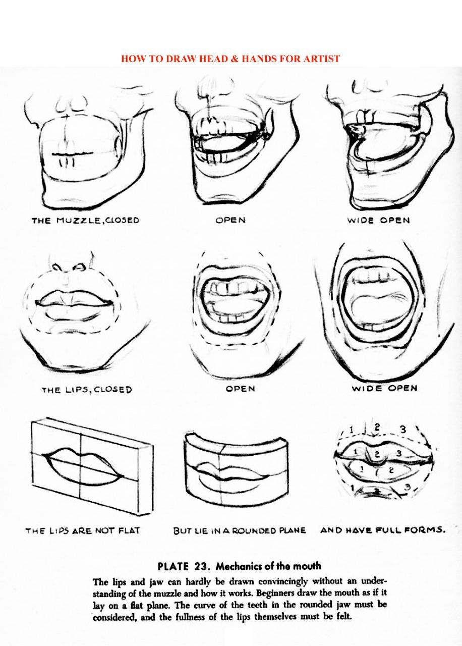 How to Draw Head Hands for Artist - photo 43